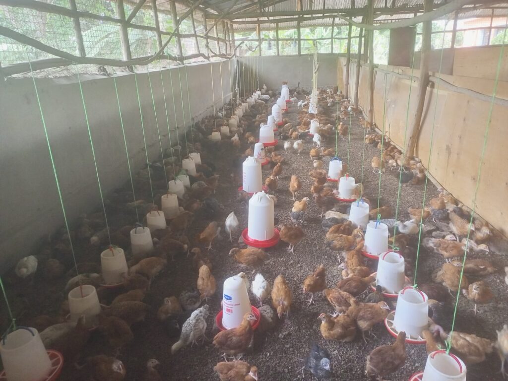 img 20240630 111001 156